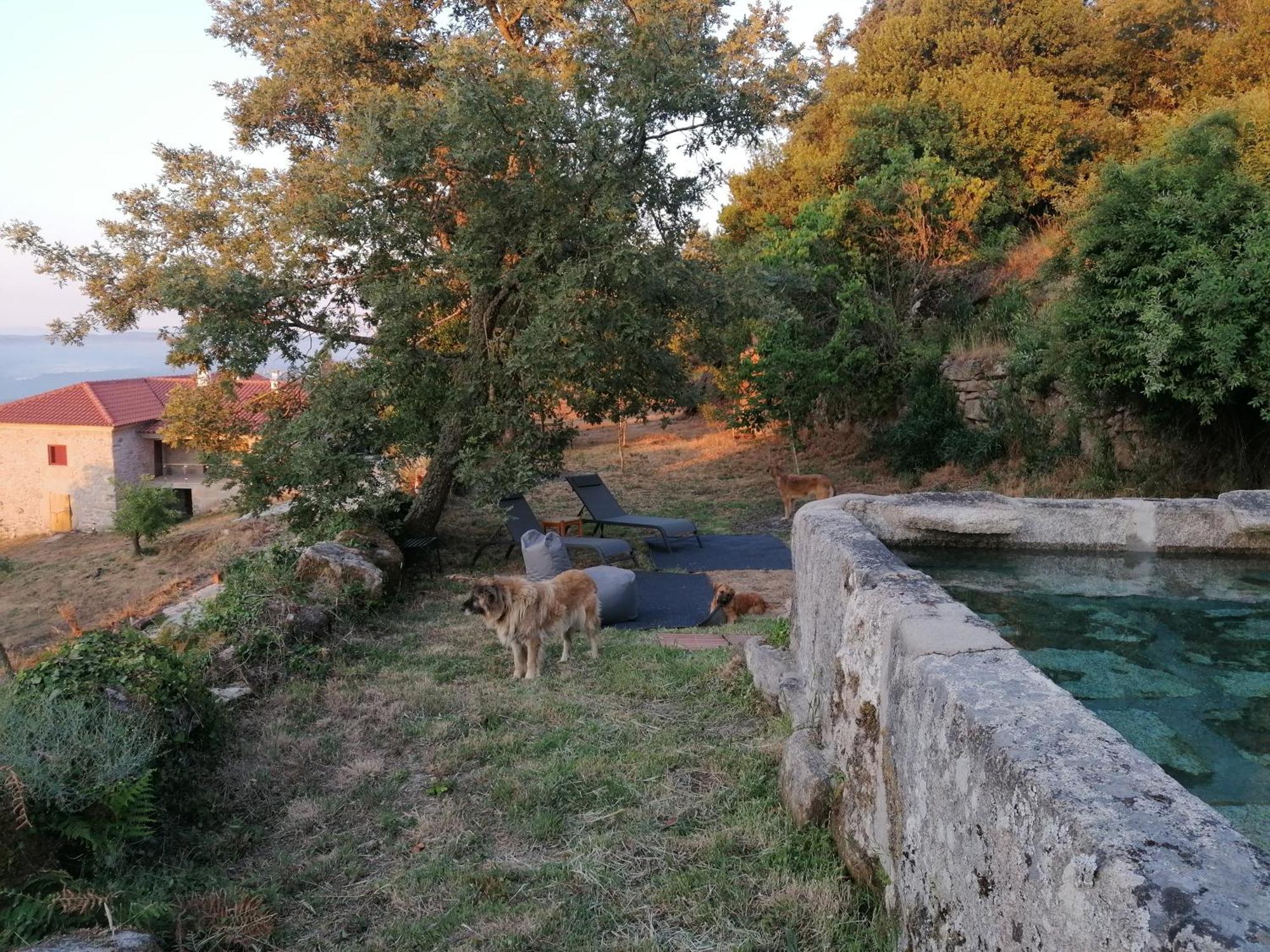 Sendim  Casa Da Moiroa 빌라 외부 사진